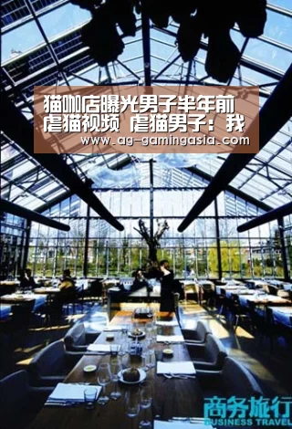猫咖店曝光男子半年前虐猫视频 虐猫男子:我错了_AG篮球(图1) AG篮球