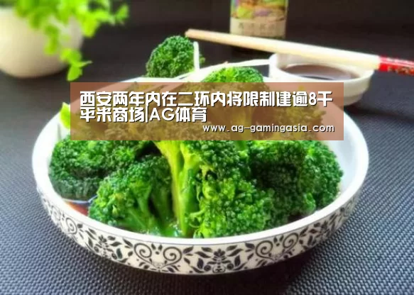 西安两年内在二环内将限制建逾8千平米商场|AG体育(图3) AG赛事
