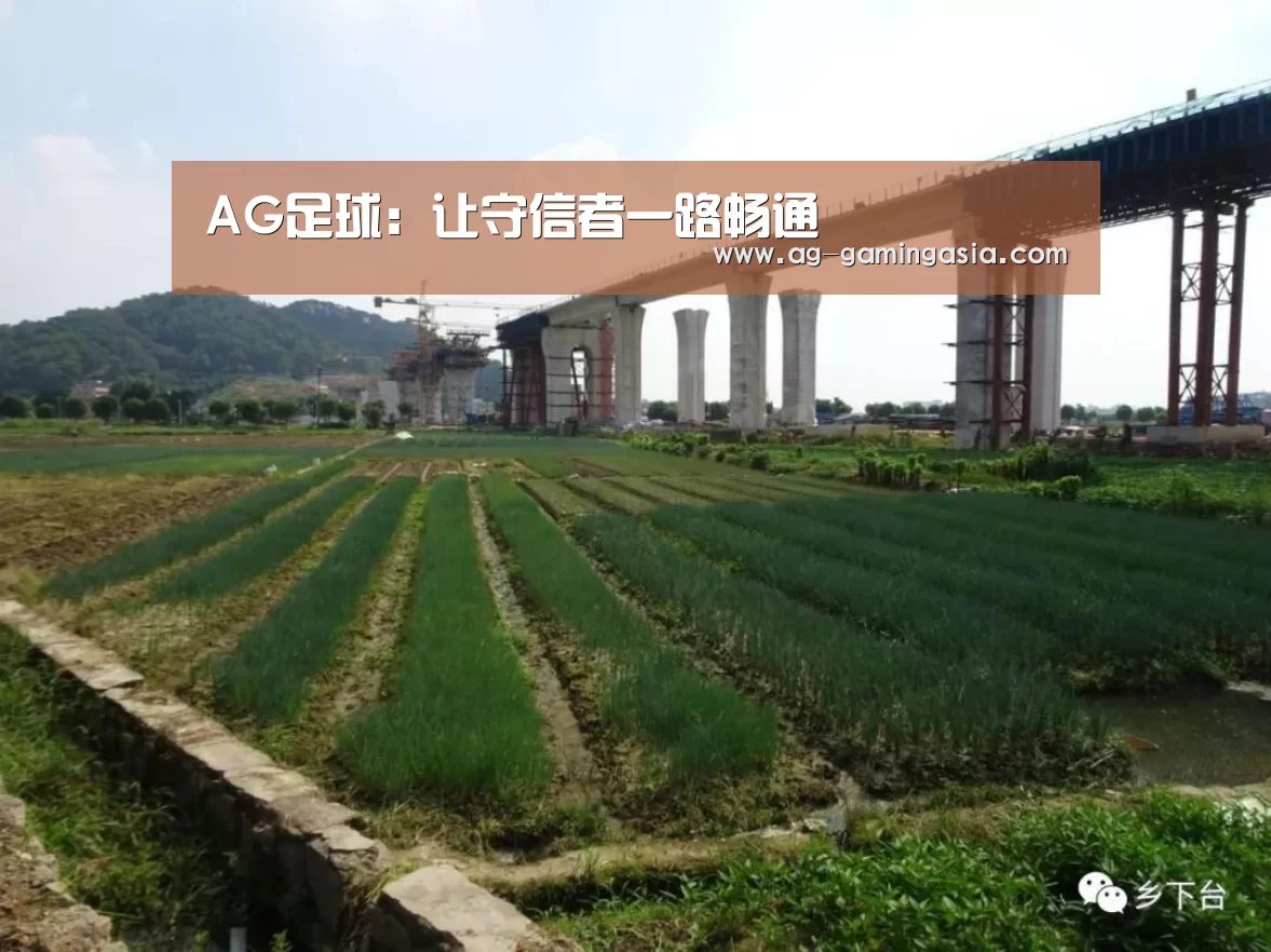 AG足球:让守信者一路畅通(图1) AG篮球