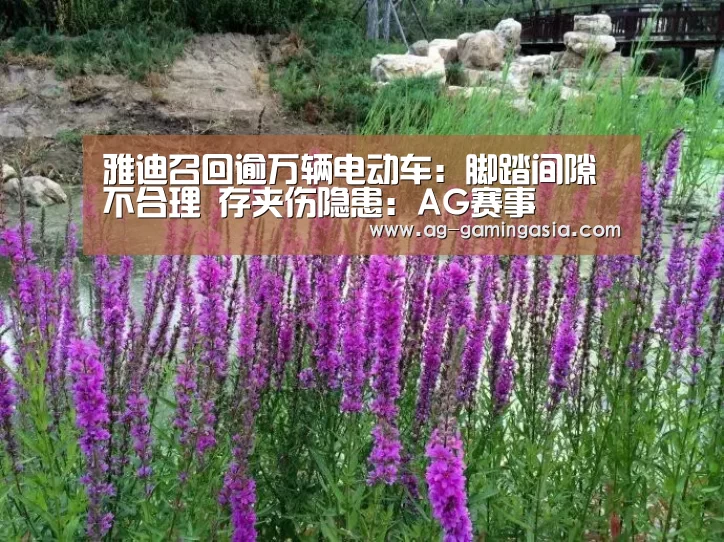 雅迪召回逾万辆电动车:脚踏间隙不合理 存夹伤隐患:AG赛事(图4) AG篮球