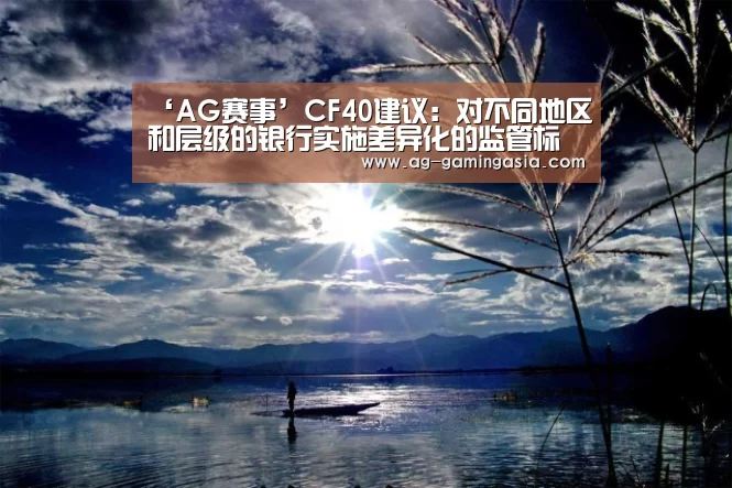 ‘AG赛事’CF40建议:对不同地区和层级的银行实施差异化的监管标准|差异化(图2) AG体育